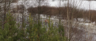 Фотохроника за 17 декабря 2023 г.