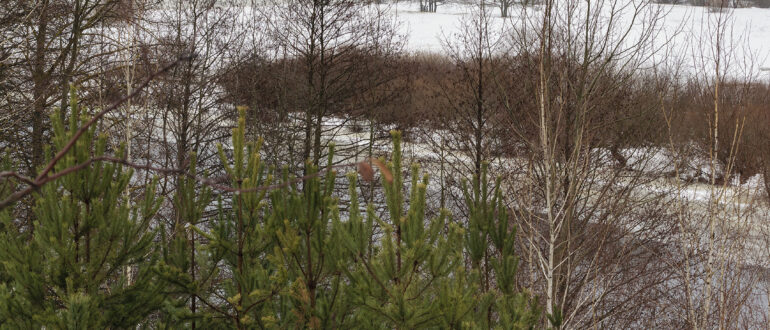 Фотохроника за 17 декабря 2023 г.