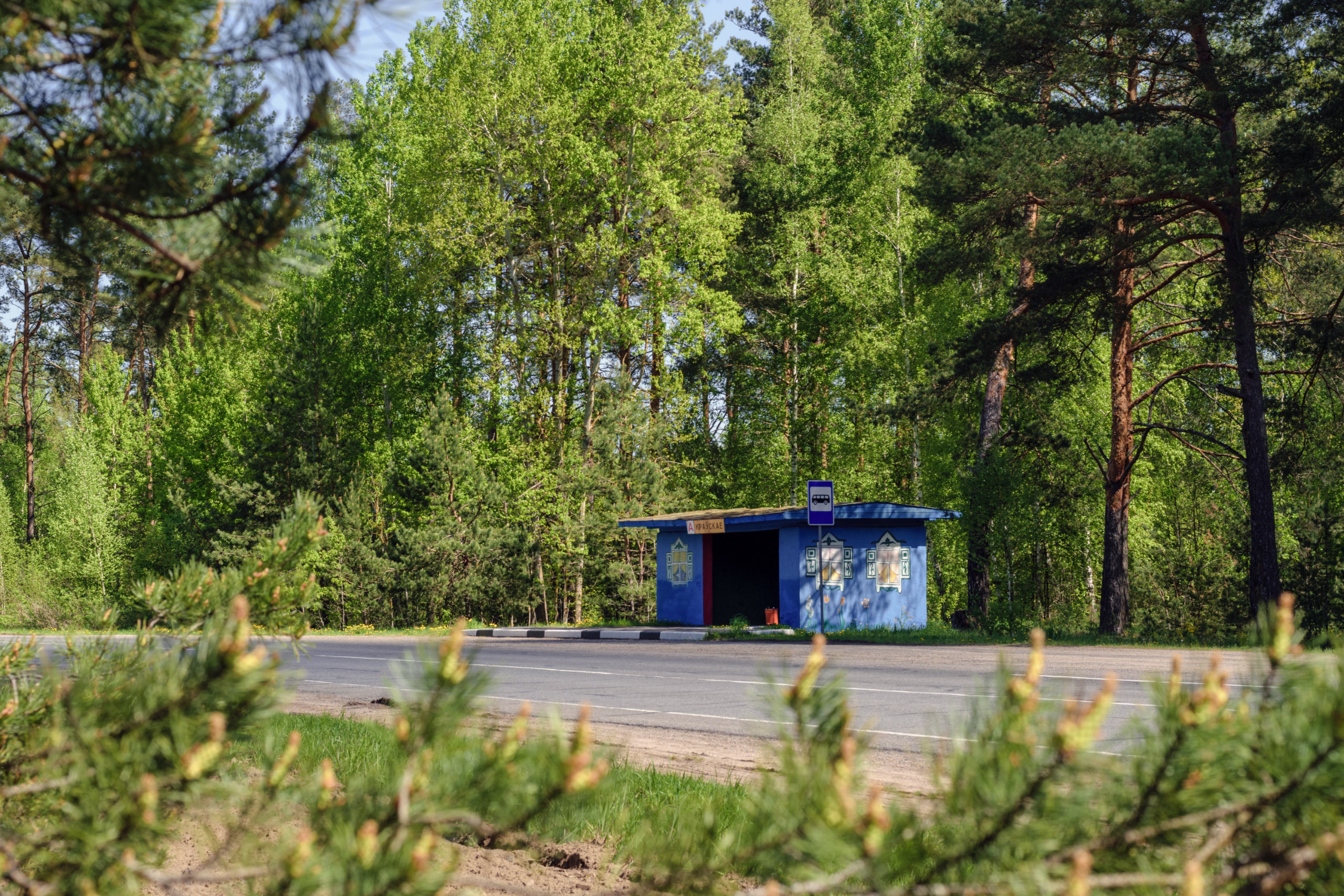 Фотохроника за 5 мая 2024 г.