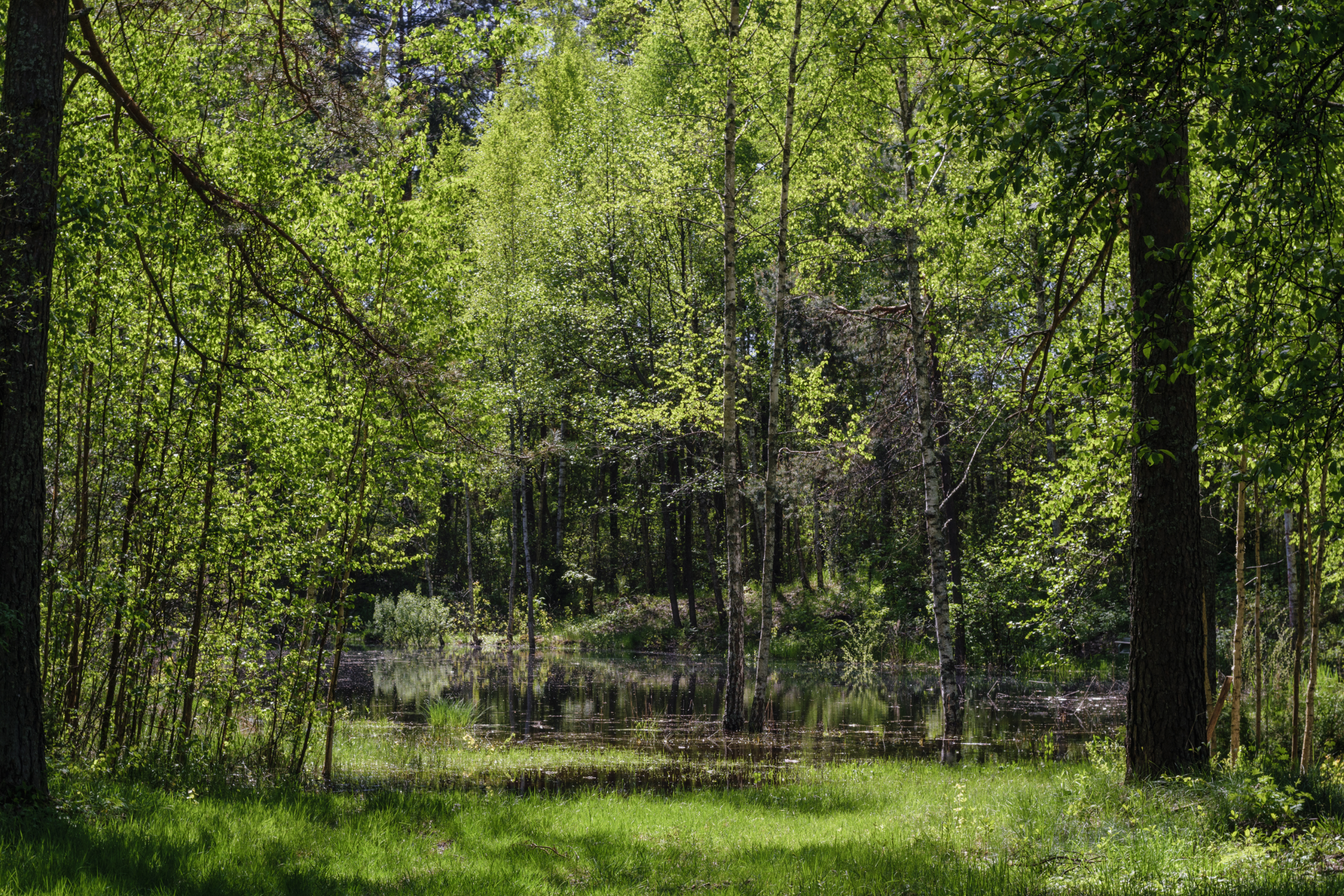 Фотохроника за 5 мая 2024 г.