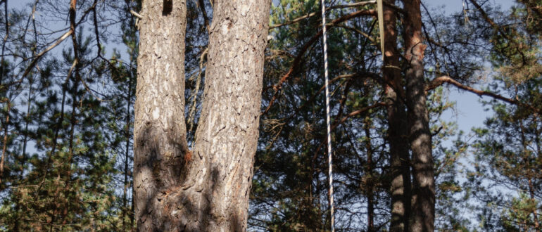 Фотохроника за 20 октября 2024 г.